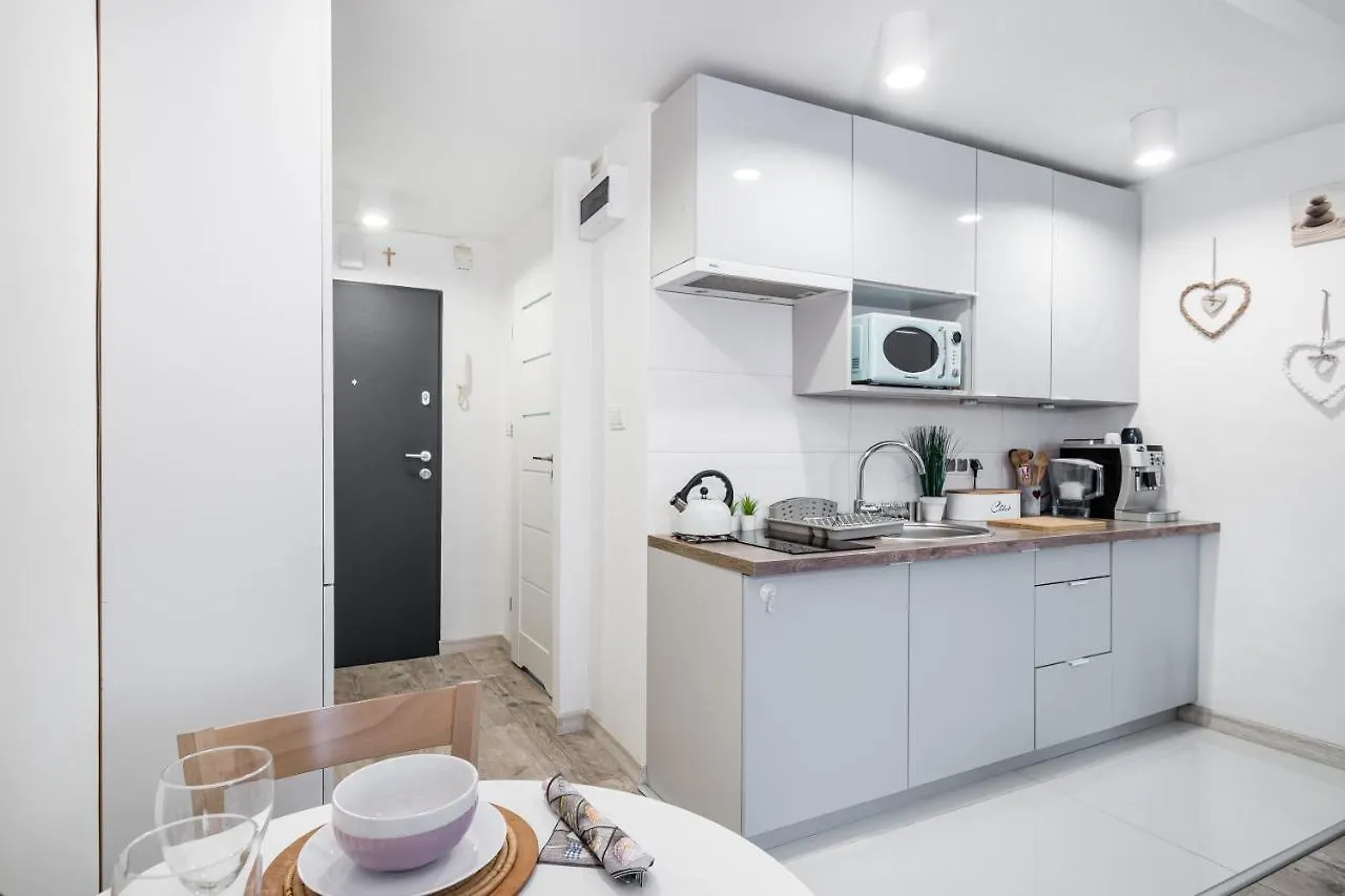Wilenska Srodmiescie Apartment Krakow Poland