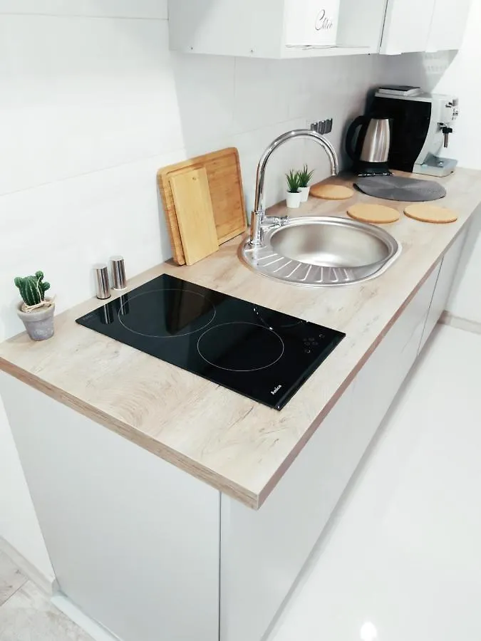 Wilenska Srodmiescie Apartment Krakow Poland